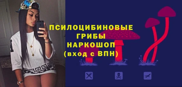 ГАЛЛЮЦИНОГЕННЫЕ ГРИБЫ Баксан