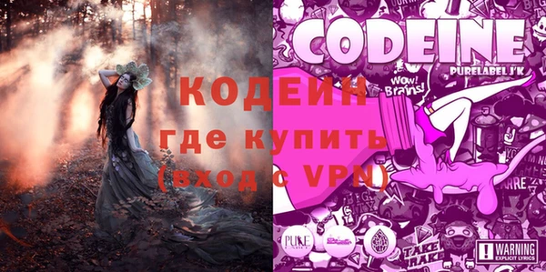 ГАЛЛЮЦИНОГЕННЫЕ ГРИБЫ Баксан