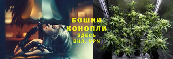 ГАЛЛЮЦИНОГЕННЫЕ ГРИБЫ Баксан